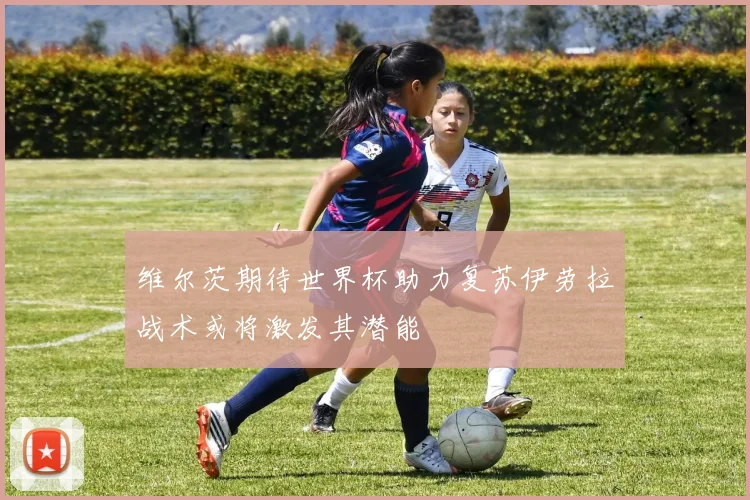 维尔茨期待世界杯助力复苏伊劳拉战术或将激发其潜能